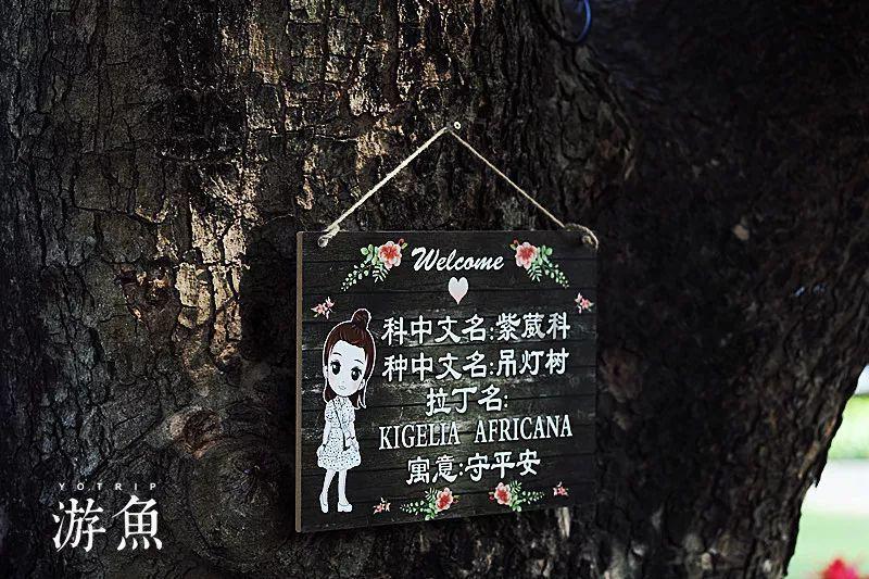 别克威朗年检有啥特别的吗——冷知识分享平台,揭开世界的奇妙面纱!